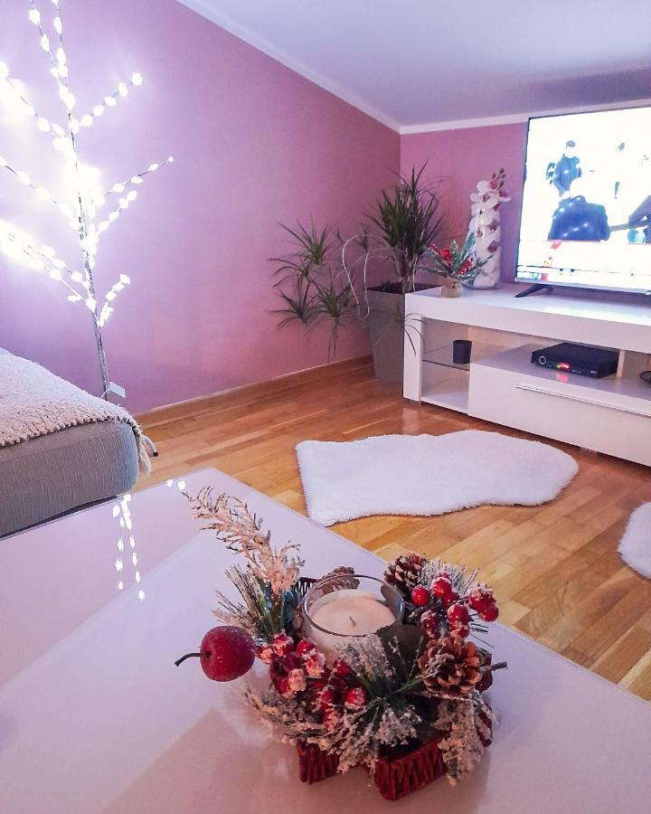 Apartman Japanski Vrt, Centar Vrnjačka Banja 外观 照片