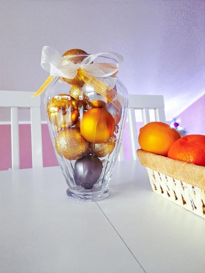 Apartman Japanski Vrt, Centar Vrnjačka Banja 外观 照片