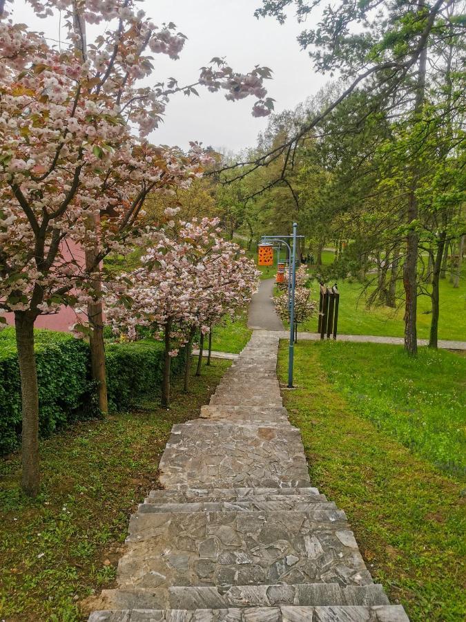 Apartman Japanski Vrt, Centar Vrnjačka Banja 外观 照片